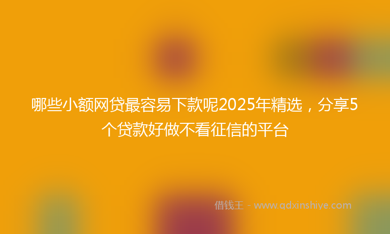 哪些小额网贷最容易下款呢2025年精选，分享5个贷款好做不看征信的平台