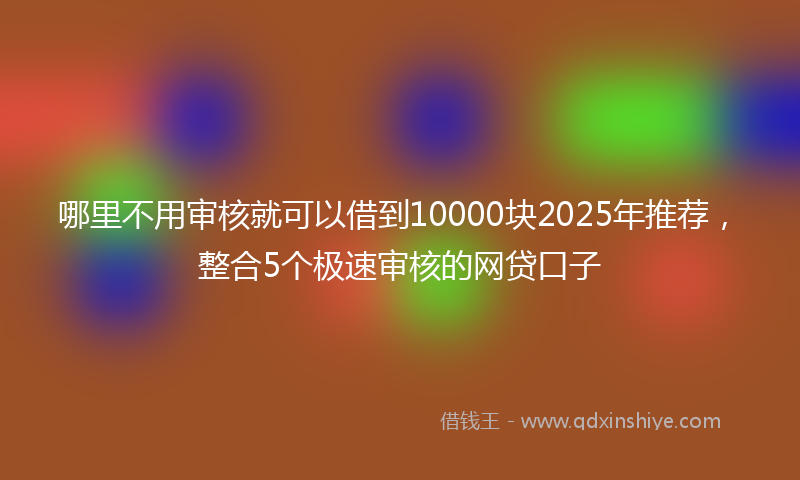 哪里不用审核就可以借到10000块2025年推荐，整合5个极速审核的网贷口子