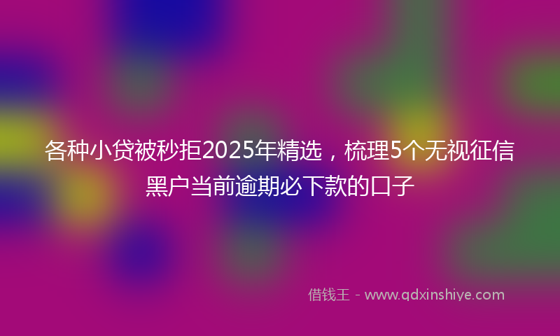 各种小贷被秒拒2025年精选，梳理5个无视征信黑户当前逾期必下款的口子