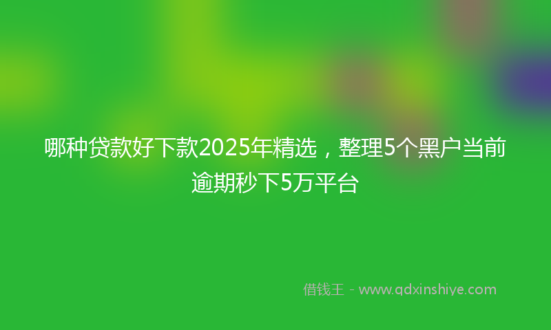 哪种贷款好下款2025年精选，整理5个黑户当前逾期秒下5万平台
