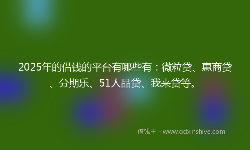 2025年的借钱的平台有哪些有：微粒贷、惠商贷、分期乐、51人品贷、我来贷等。