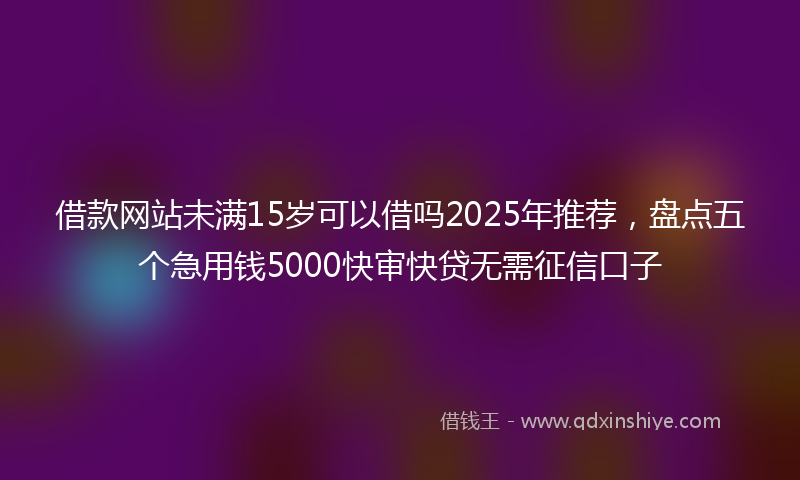 借款网站未满15岁可以借吗2025年推荐，盘点五个急用钱5000快审快贷无需征信口子