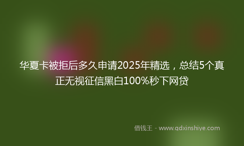 华夏卡被拒后多久申请2025年精选，总结5个真正无视征信黑白100%秒下网贷