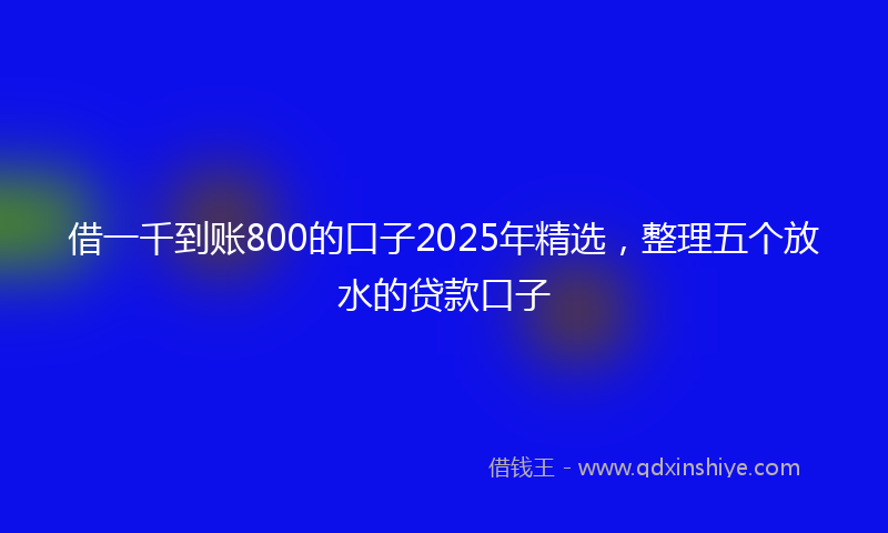 借一千到账800的口子2025年精选，整理五个放水的贷款口子