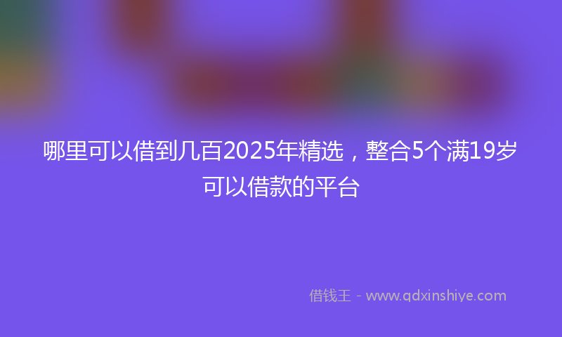 哪里可以借到几百2025年精选，整合5个满19岁可以借款的平台