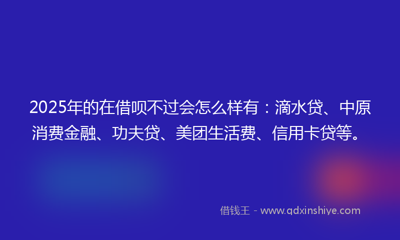 2025年的在借呗不过会怎么样有：滴水贷、中原消费金融、功夫贷、美团生活费、信用卡贷等。