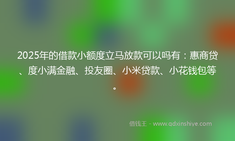 2025年的借款小额度立马放款可以吗有：惠商贷、度小满金融、投友圈、小米贷款、小花钱包等。