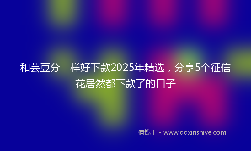 和芸豆分一样好下款2025年精选，分享5个征信花居然都下款了的口子