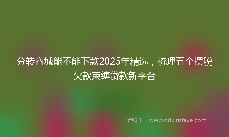 分转商城能不能下款2025年精选，梳理五个摆脱欠款束缚贷款新平台