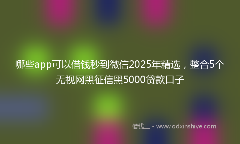 哪些app可以借钱秒到微信2025年精选，整合5个无视网黑征信黑5000贷款口子