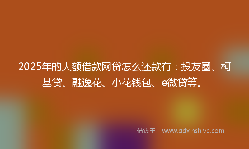 2025年的大额借款网贷怎么还款有：投友圈、柯基贷、融逸花、小花钱包、e微贷等。