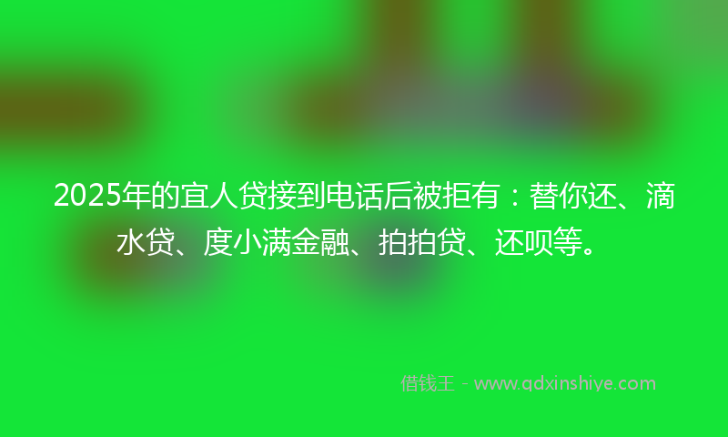 2025年的宜人贷接到电话后被拒有：替你还、滴水贷、度小满金融、拍拍贷、还呗等。