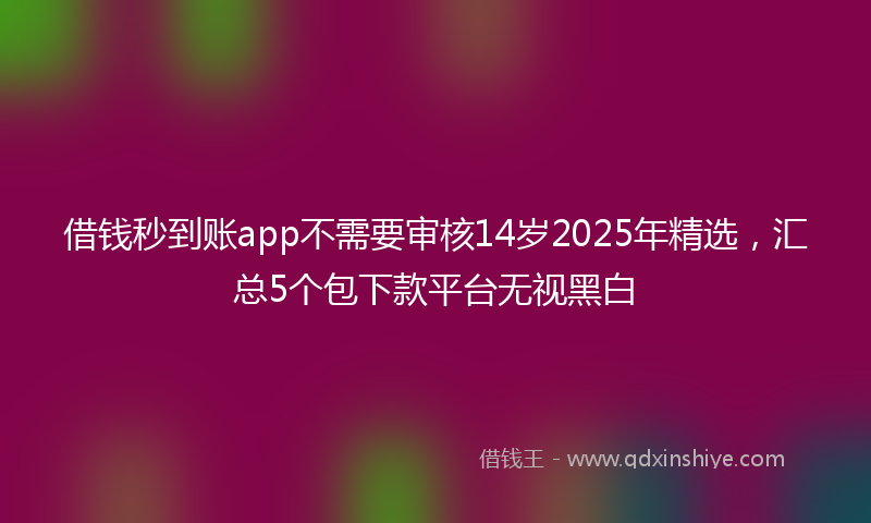 借钱秒到账app不需要审核14岁2025年精选，汇总5个包下款平台无视黑白