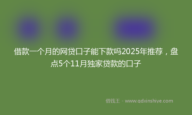 借款一个月的网贷口子能下款吗2025年推荐，盘点5个11月独家贷款的口子