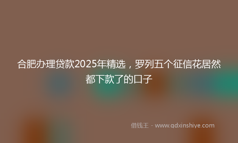 合肥办理贷款2025年精选，罗列五个征信花居然都下款了的口子