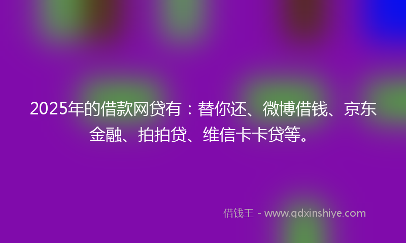 2025年的借款网贷有：替你还、微博借钱、京东金融、拍拍贷、维信卡卡贷等。