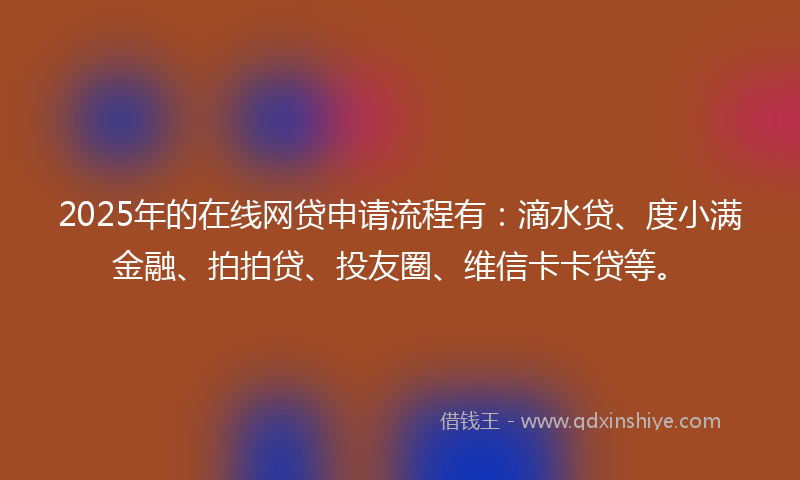 2025年的在线网贷申请流程有：滴水贷、度小满金融、拍拍贷、投友圈、维信卡卡贷等。