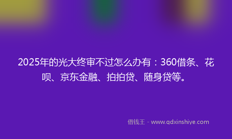 2025年的光大终审不过怎么办有：360借条、花呗、京东金融、拍拍贷、随身贷等。