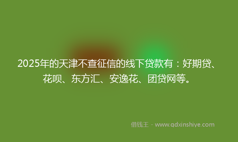 2025年的天津不查征信的线下贷款有：好期贷、花呗、东方汇、安逸花、团贷网等。
