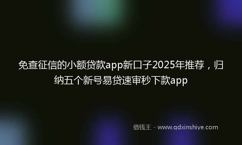 免查征信的小额贷款app新口子2025年推荐，归纳五个新号易贷速审秒下款app