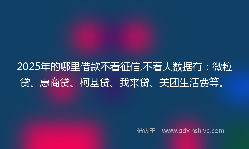 2025年的哪里借款不看征信,不看大数据有：微粒贷、惠商贷、柯基贷、我来贷、美团生活费等。