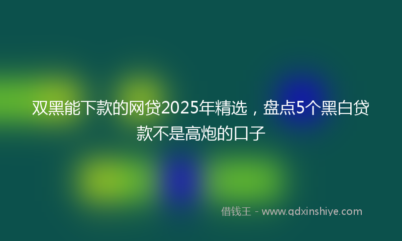 双黑能下款的网贷2025年精选，盘点5个黑白贷款不是高炮的口子