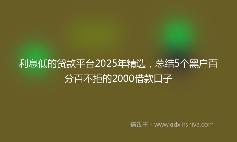 利息低的贷款平台2025年精选，总结5个黑户百分百不拒的2000借款口子