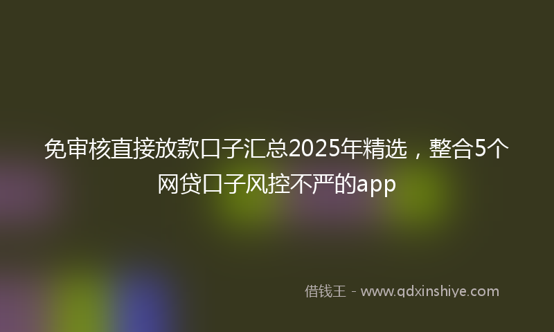 免审核直接放款口子汇总2025年精选，整合5个网贷口子风控不严的app