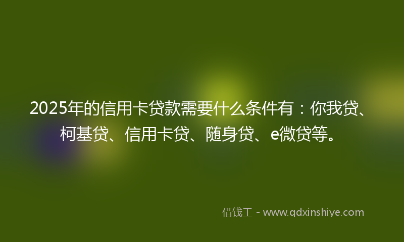 2025年的信用卡贷款需要什么条件有：你我贷、柯基贷、信用卡贷、随身贷、e微贷等。