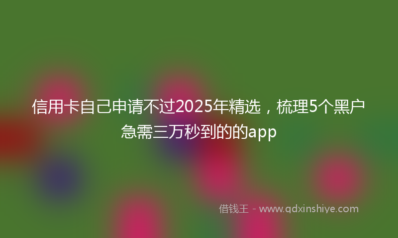 信用卡自己申请不过2025年精选，梳理5个黑户急需三万秒到的的app