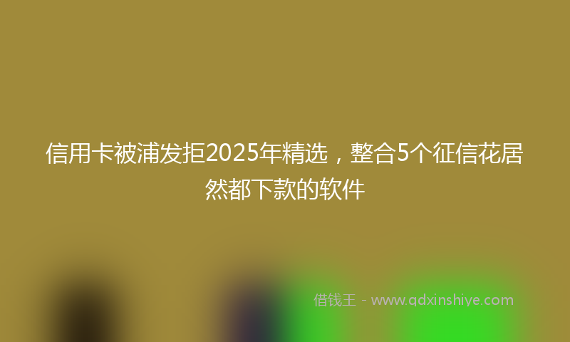 信用卡被浦发拒2025年精选，整合5个征信花居然都下款的软件