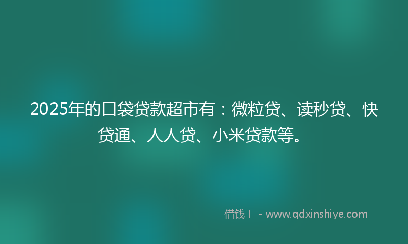 2025年的口袋贷款超市有：微粒贷、读秒贷、快贷通、人人贷、小米贷款等。