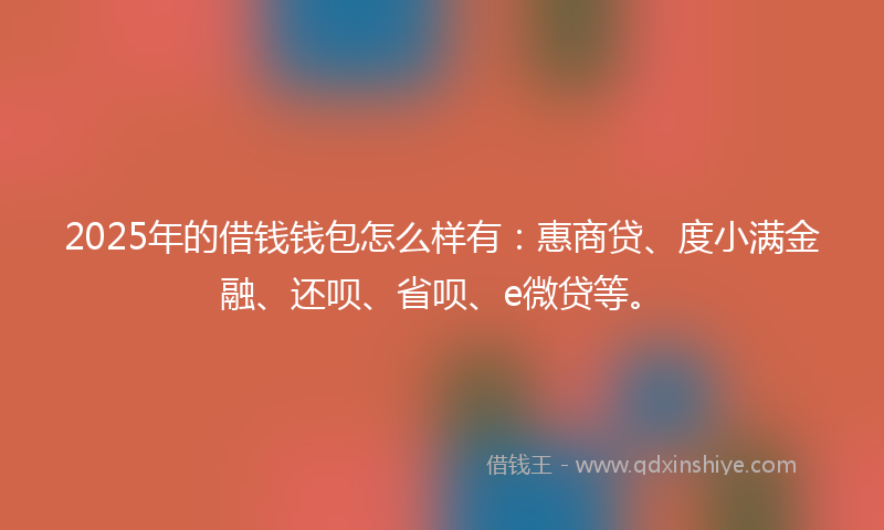2025年的借钱钱包怎么样有：惠商贷、度小满金融、还呗、省呗、e微贷等。