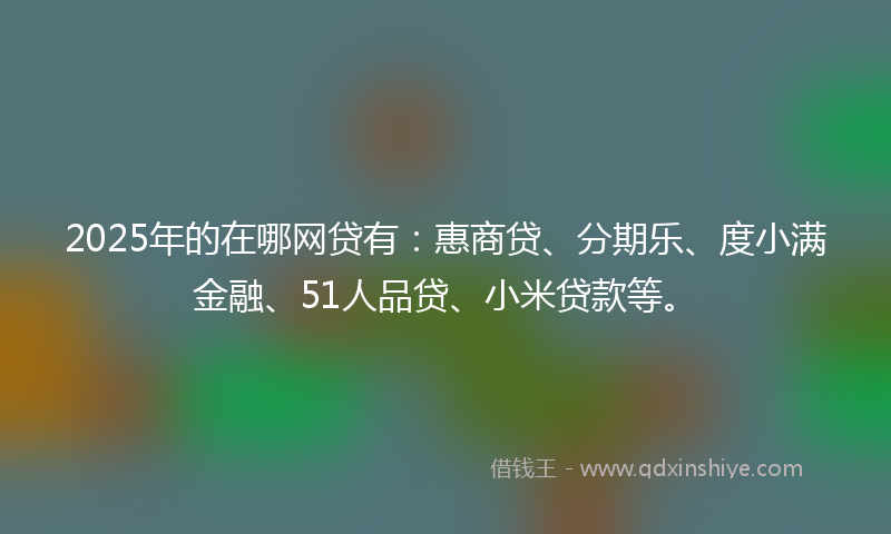 2025年的在哪网贷有：惠商贷、分期乐、度小满金融、51人品贷、小米贷款等。