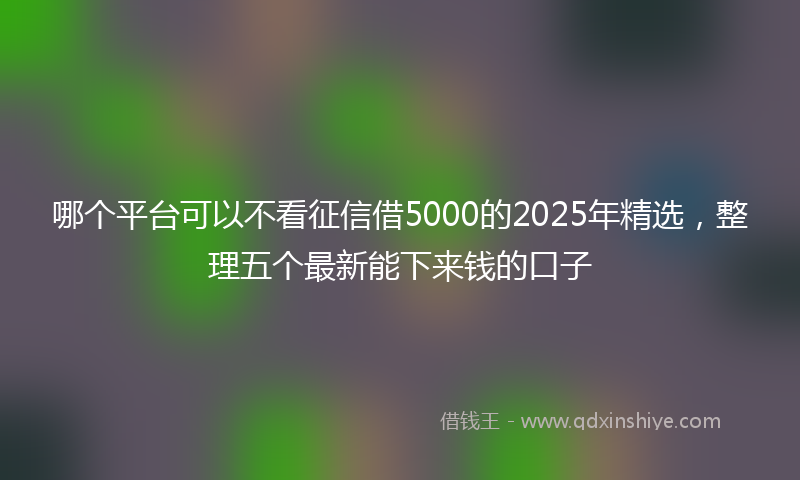 哪个平台可以不看征信借5000的2025年精选，整理五个最新能下来钱的口子