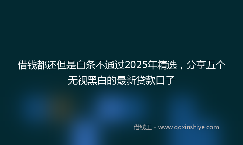 借钱都还但是白条不通过2025年精选，分享五个无视黑白的最新贷款口子