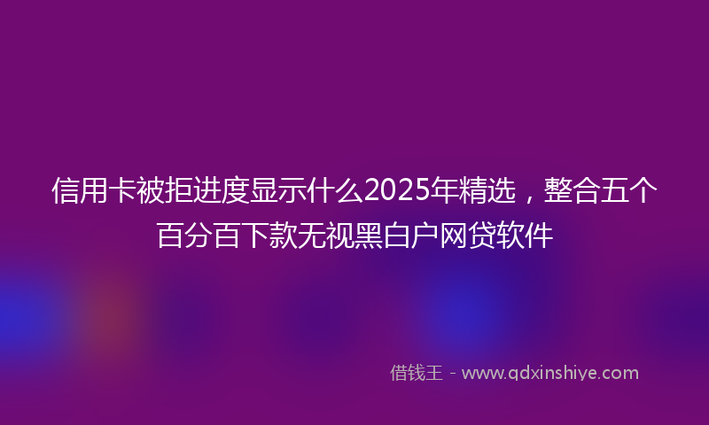 信用卡被拒进度显示什么2025年精选，整合五个百分百下款无视黑白户网贷软件