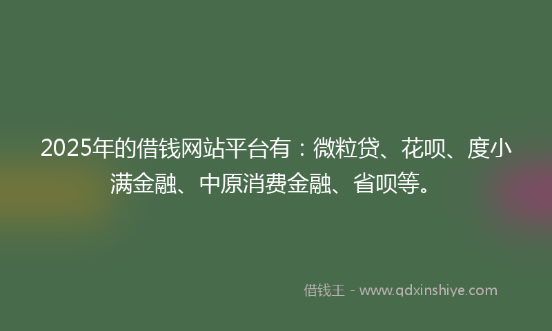 2025年的借钱网站平台有：微粒贷、花呗、度小满金融、中原消费金融、省呗等。