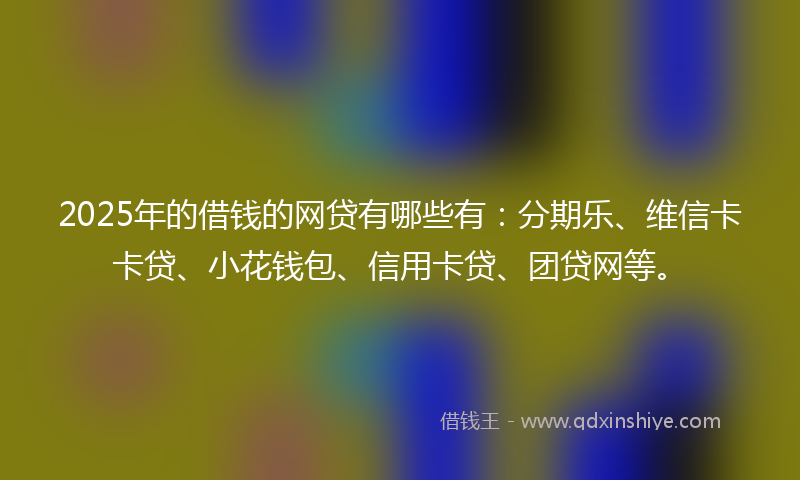 2025年的借钱的网贷有哪些有：分期乐、维信卡卡贷、小花钱包、信用卡贷、团贷网等。