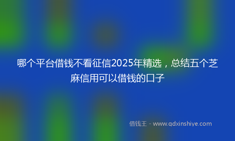 哪个平台借钱不看征信2025年精选，总结五个芝麻信用可以借钱的口子