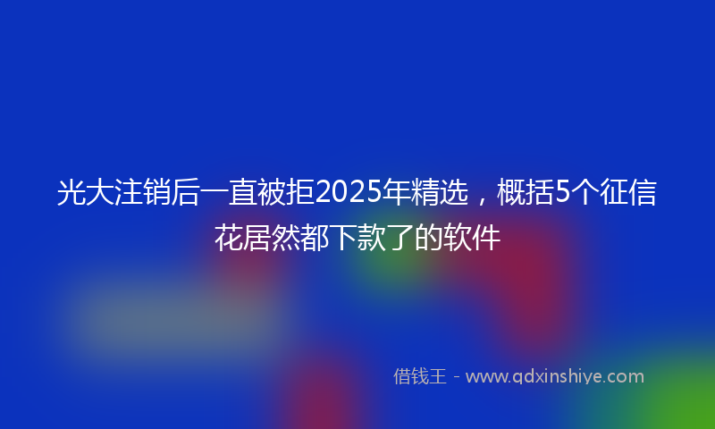光大注销后一直被拒2025年精选，概括5个征信花居然都下款了的软件