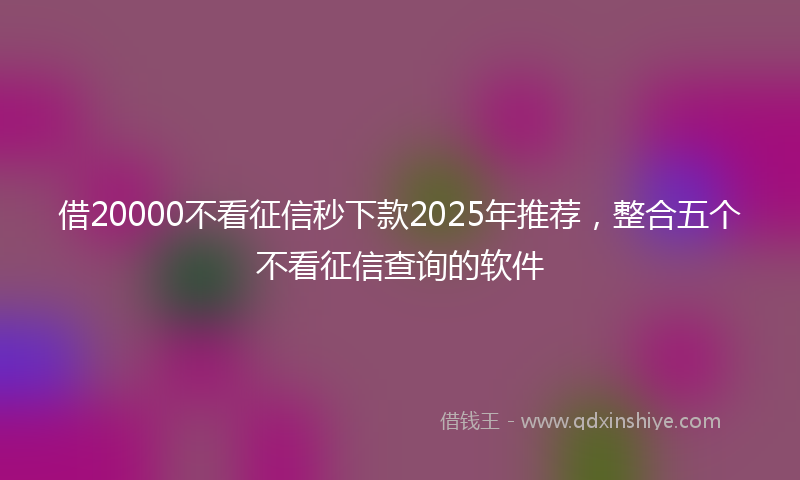 借20000不看征信秒下款2025年推荐，整合五个不看征信查询的软件