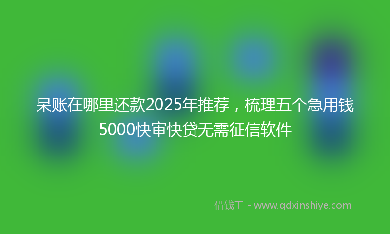 呆账在哪里还款2025年推荐，梳理五个急用钱5000快审快贷无需征信软件