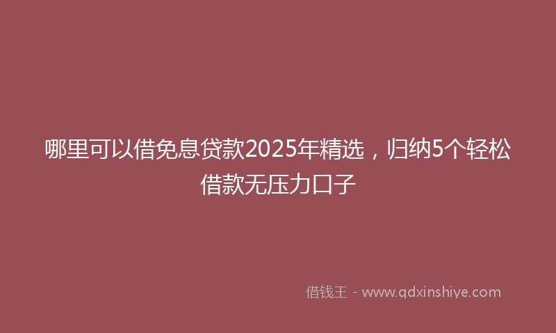 哪里可以借免息贷款2025年精选，归纳5个轻松借款无压力口子