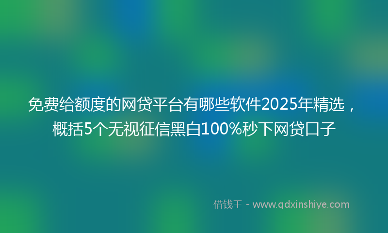 免费给额度的网贷平台有哪些软件2025年精选，概括5个无视征信黑白100%秒下网贷口子