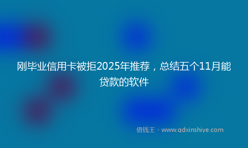 刚毕业信用卡被拒2025年推荐，总结五个11月能贷款的软件