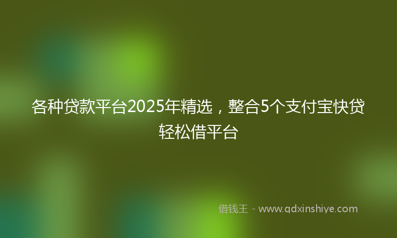 各种贷款平台2025年精选，整合5个支付宝快贷轻松借平台