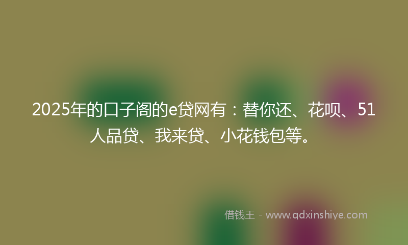 2025年的口子阁的e贷网有：替你还、花呗、51人品贷、我来贷、小花钱包等。