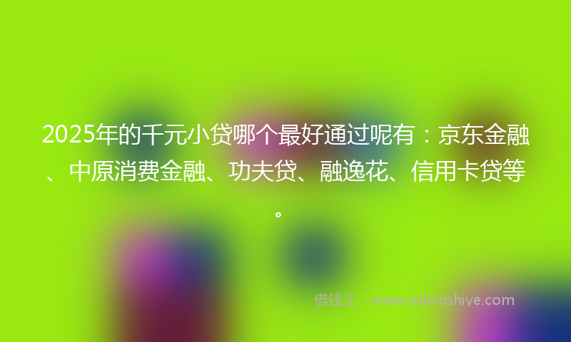 2025年的千元小贷哪个最好通过呢有：京东金融、中原消费金融、功夫贷、融逸花、信用卡贷等。