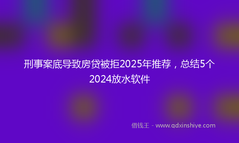 刑事案底导致房贷被拒2025年推荐，总结5个2024放水软件